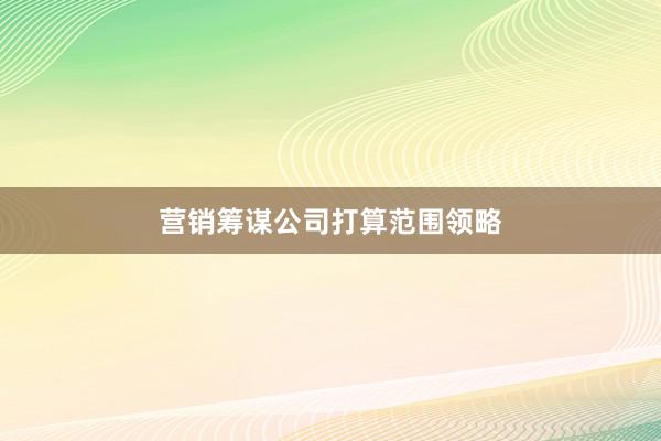 营销筹谋公司打算范围领略